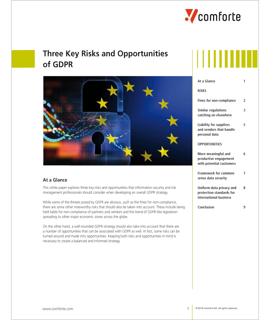 WP_3_Key_Risks_Opportunities_GDPR WP_3_Key_Risks_Opportunities_GDPR